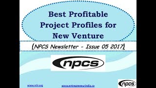 Best Profitable Project Profiles for New Venture [upl. by Lleirbag]