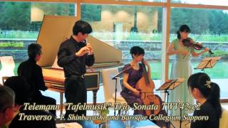 Telemann Tafelmusik Trio Sonata TWV42e2 [upl. by Eibloc]