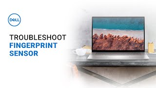 Fingerprint Sensor Not Working Dell Laptop Official Dell Tech Support [upl. by Eidnac]