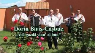 Dorin Biris Cosbuc  Ada gazda vinu al bun [upl. by Aneelahs]