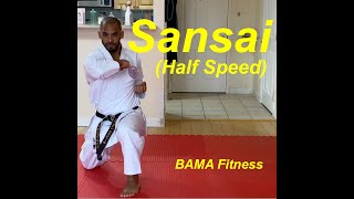 Sansai Kata Half Speed  by Brandon Abdullah [upl. by Meuser357]