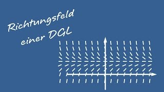 Differentialgleichungen  Richtungsfeld einer Differentialgleichung DGL [upl. by Christoph]