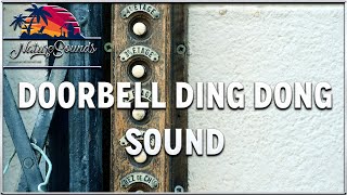 Doorbell Ding Dong Sound No copyright [upl. by Eusassilem]