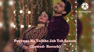 Payenge Na Tumhe Jab Tak Sanam Song Slowed Reverb [upl. by Ahsiryt]