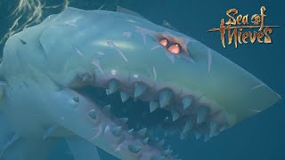 Hunting the RAREST Megalodon in Sea of Thieves [upl. by Hcardahs]