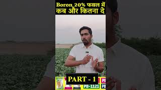 Boron 20 फसल में कब कैसे और कितना दे प्रति एकड़  When how much to give Boron 20 per acre in crop [upl. by Helban]