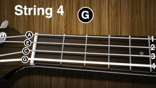 How to tune a Ukulele  Ukulele tuning video  gCEA [upl. by Solenne93]