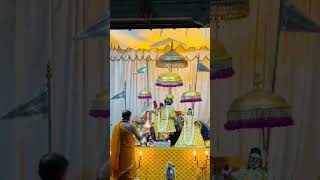 Yah Chamak Ye damak Vrindavan Radhe🌺 Krishnashortvideo 🚩 [upl. by Lehpar572]