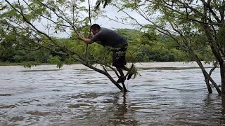 Alerta 🚨 roja el río torola se desborda  Y chungo queda atrapado en la creciente 😱😱😨😨😨 [upl. by Ailegna]