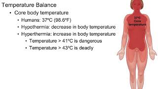 Physiology chapter 21 part 3 of 3 [upl. by Wylie]