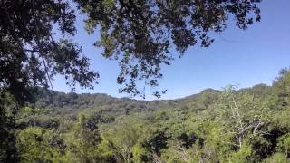 Roatan Pirates Zip Line Adventure [upl. by Ahsea]