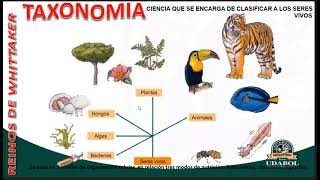 Parasitología C1 Introducción a la Parasitología [upl. by Nirak]