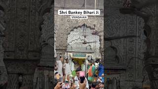 Shri Banke Bihari Lal Ji 🛕 Vrindavan  bankebiharitemple bankebihari vrindavan newvideo love [upl. by Magulac697]