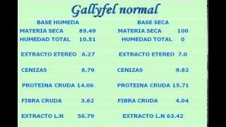 ALIMENTO ESPECIAL PARA GALLOS DE PELEA GALLYFEL [upl. by Laure]