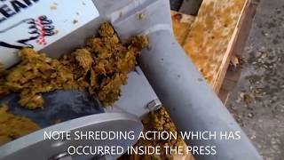 PRESSING ENSILED CITRUS WASTE [upl. by Randene]