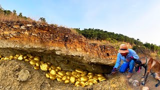 OMG Mining Treasures Diamond amp Gemstone Under Stone at Big River  Finding By Hunter Dog amp Ma [upl. by Einahteb]