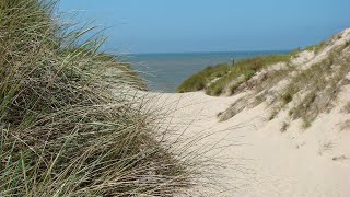 Strandcamping Dangast Nordsee 2023 [upl. by Etselec]