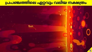 Largest Star✴️In The Universe🌌 Stephenson 218  Facts Malayalam  47 ARENA shortsmalayalam [upl. by Doowyah638]