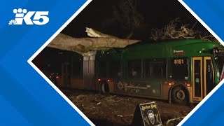 Bomb cyclone leaves widespread damage around western Washington [upl. by Eisso39]