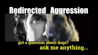 Redirected Aggression in Dogs ask me anything  Dog Training and Behavior [upl. by Anawot493]