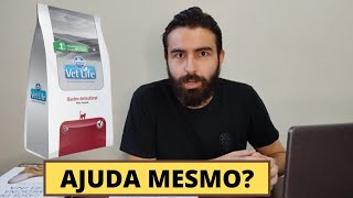 A RAÇÃO VET LIFE GASTROINTESTINAL PARA GATOS É BOA [upl. by Lessig]