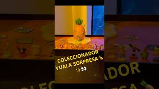 Coleccionador de piña vualamexico vuala sorpresa 👀🍍✨ [upl. by Selle]