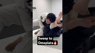 BJJ omoplata [upl. by Darrick]