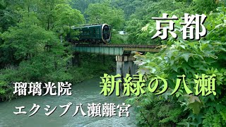 SUB【京都の夏】青もみじ名所 瑠璃光院 エクシブ京都八瀬離宮 八瀬 京都観光 京都名所  fresh green scenery Yase in Kyoto Japan [upl. by Toma597]