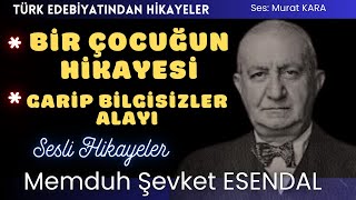 quotBir Çocuğun Hikayesiquot quotGarip Bilgisizler Alayıquot Memduh Şevket Esendal Hikayeleri [upl. by Essirahs416]