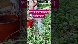 সবজি বাগানে পাড়ি দেওয়ার ভিডিওটি দেখে নিন reels automobile bestfeed agriculture feedfeed [upl. by Atima]