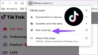 How To Fix TikTok Not Working On Windows [upl. by Danete823]