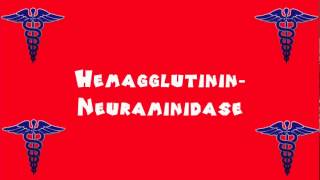 Pronounce Medical Words ― Hemagglutinin―Neuraminidase [upl. by Ueih]