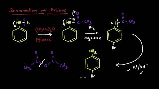 Bromination of Aniline  Electrophilic Aromatic Substitution Reactions  Chemistry  Khan Academy [upl. by Conrado]