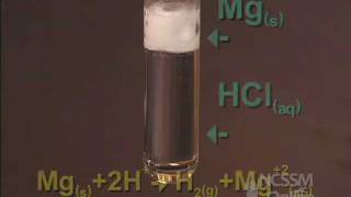 Reaction of Mg with HCl [upl. by Kelcey571]