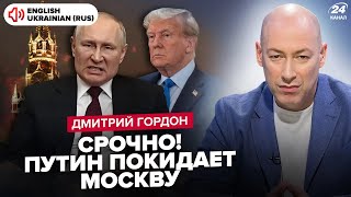 ⚡️ГОРДОН ВСЕ Гаряча фаза війни ЗАКІНЧИТЬСЯ у 2024 Трамп запропонує УГОДУ Путіну та Зеленському [upl. by Ellehcar621]