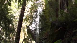 Chamberlain Creek Falls Trail  Jackson State Forest CA [upl. by Ketty695]