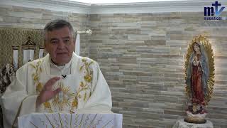 La Palabra de Dios es Luz  Homilía de Hoy San Jerónimo 300924  P Santiago Martín FM [upl. by Remlap]