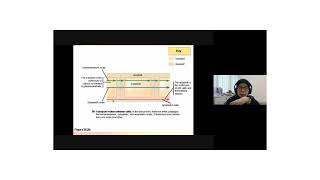 Lateral Transport in plants symplast apoplast amp transmembrane [upl. by Ttelrats]