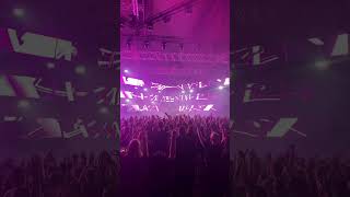 Sefa Live Fairground Festival 2024 trending festival rave viralvideo hardstyle love like fyp [upl. by Ailla]