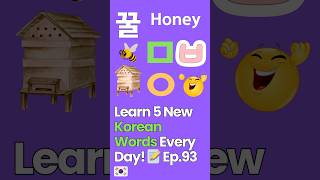 5 New Korean Words You Need to Know 🐝🍯꿀  Honey learnkorean [upl. by Heda988]