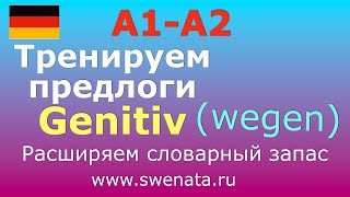 1 Предлоги родительного падежа Genitiv I В упражнениях I немецкийязык [upl. by Notsirt]