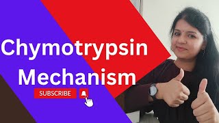 Chymotrypsin Mechanism🔥 ll Catalytic triad csirnet gatelifesciences [upl. by Inoek]