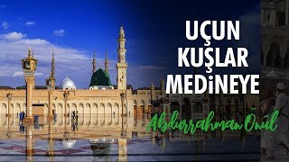 Uçun Kuşlar Medineye  Abdurrahman Önül  İlahiler [upl. by Teahan232]