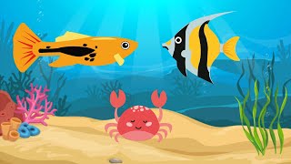 Cartoon crab and fishes in the sea [upl. by Leund]