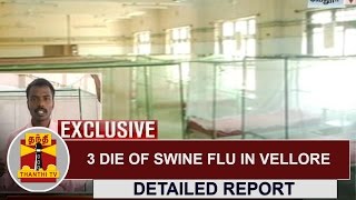 3 die of Swine Flu in Vellore  Thanthi TV [upl. by Salli]