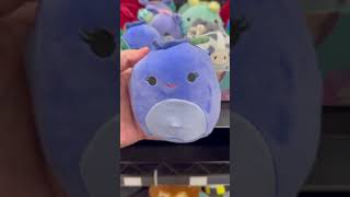 Every 5 inch Squishmallow at Flying J gas station right now squishmallows [upl. by Kronfeld353]