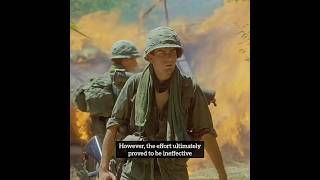 The Untold Story of Safe Conduct Passes in the Vietnam War and Platoon  shorts short [upl. by Maitilde]