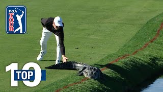 Top 10 Animal Encounters on the PGA TOUR [upl. by Greiner]