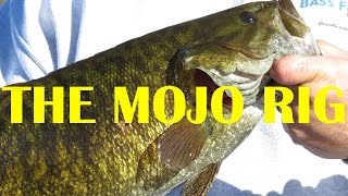 The Mojo Rig Split Shot Rig  How To  Bass Fishing [upl. by Revorg]