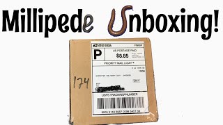 Millipede Unboxing [upl. by Neetsirhc382]